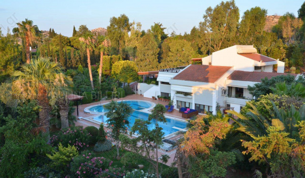 Εξωτερική όψη - Outdoor view
